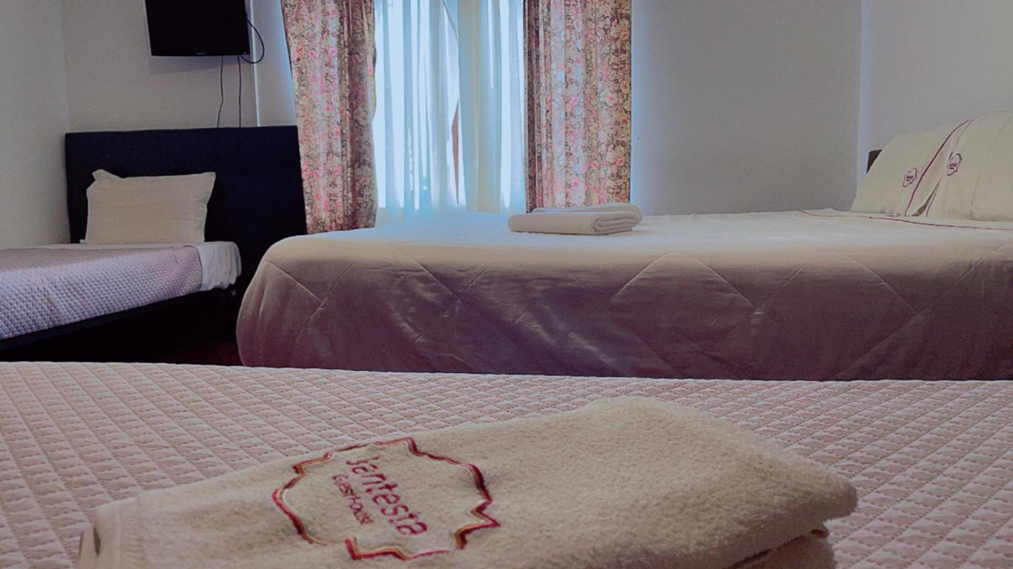 Jantesta Guest House Коїмбра Екстер'єр фото