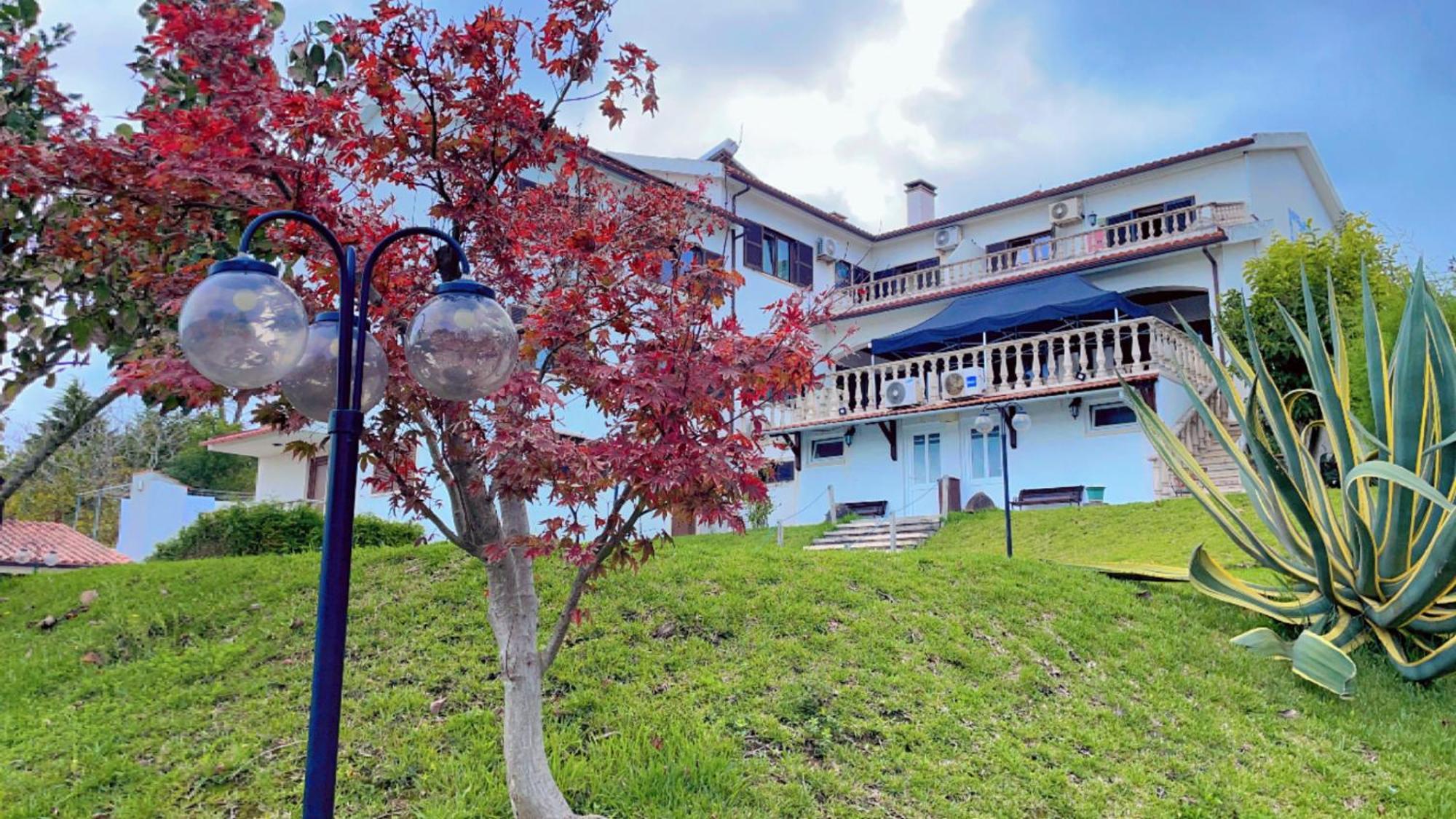 Jantesta Guest House Коїмбра Екстер'єр фото